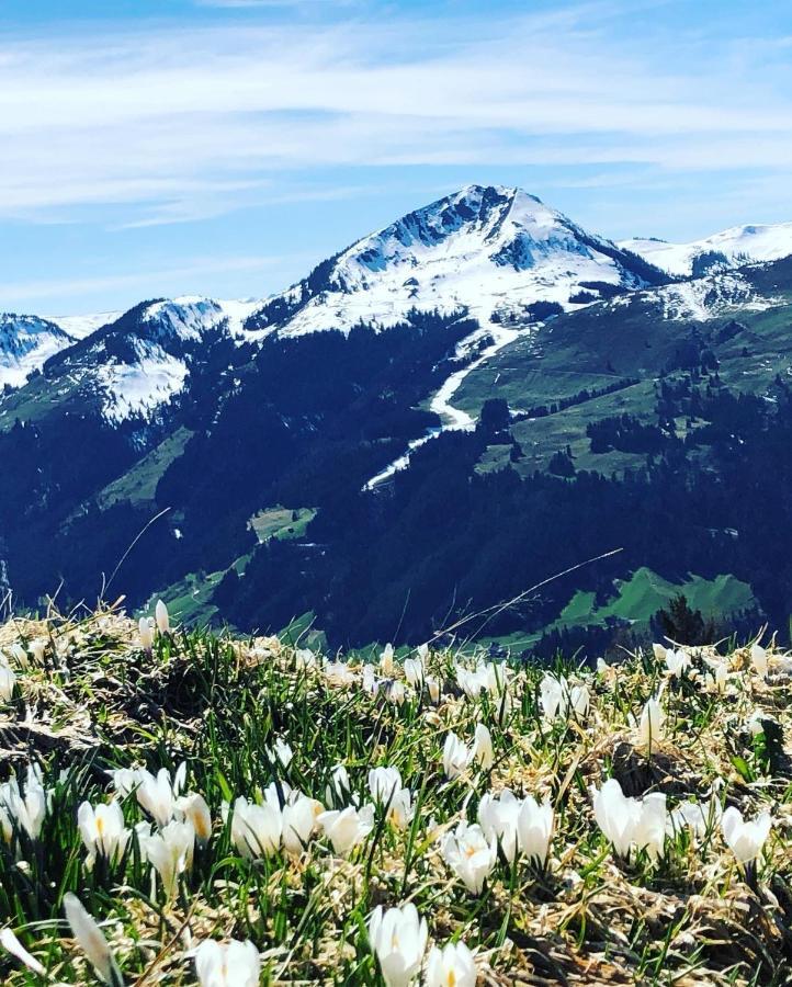 Sonnenschein Appartement Rebecca Kirchberg in Tirol Exteriör bild