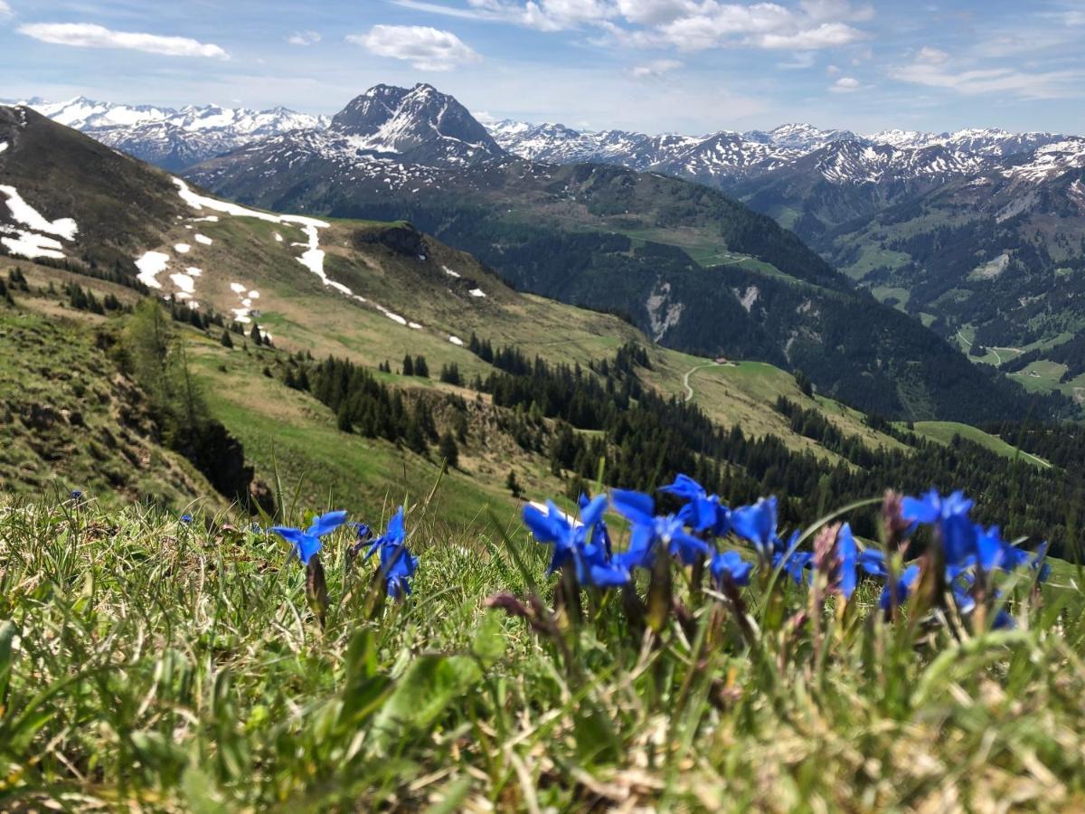 Sonnenschein Appartement Rebecca Kirchberg in Tirol Exteriör bild