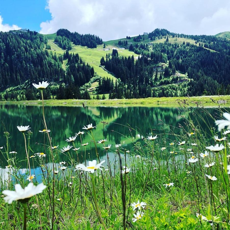 Sonnenschein Appartement Rebecca Kirchberg in Tirol Exteriör bild